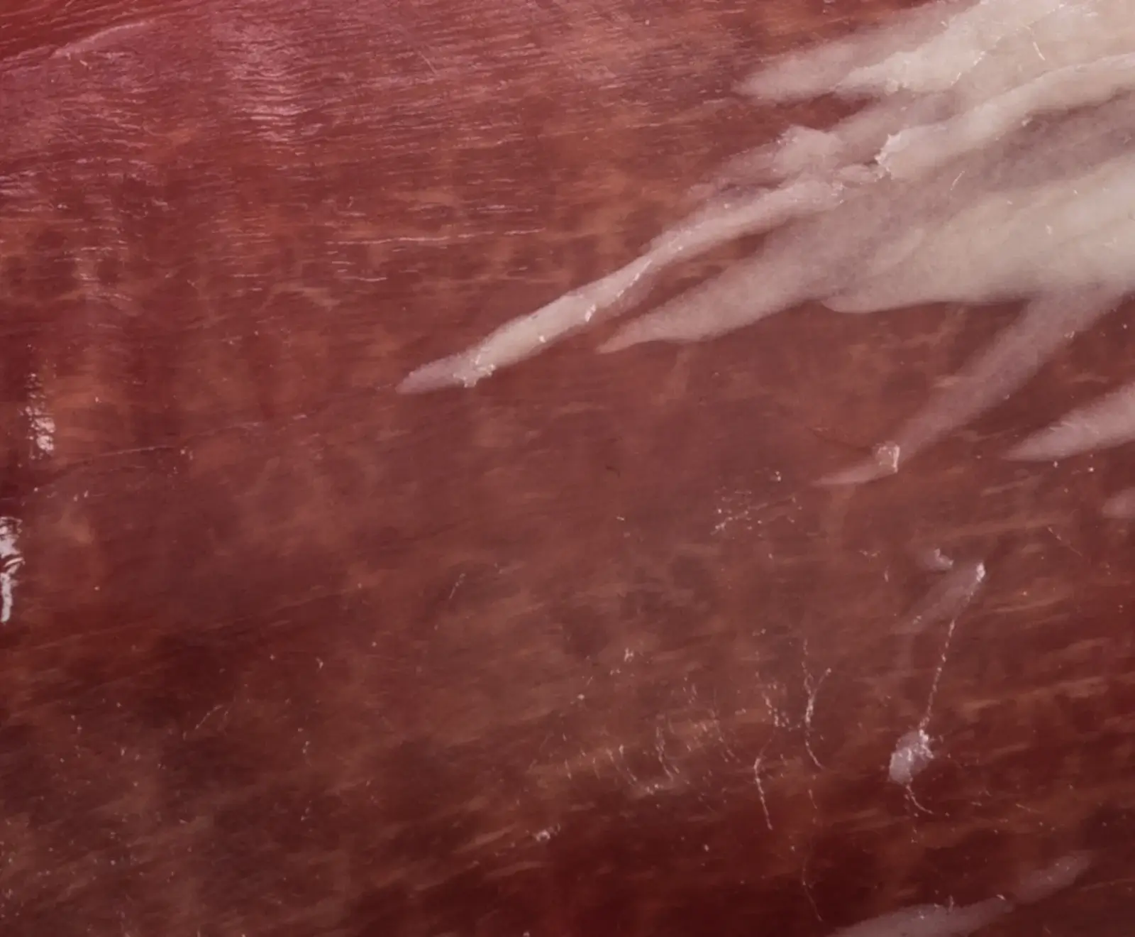 Detailansicht von rotem Schinken mit unregelmäßigen weißen Fettadern, die eine marmorierte Oberfläche bilden.