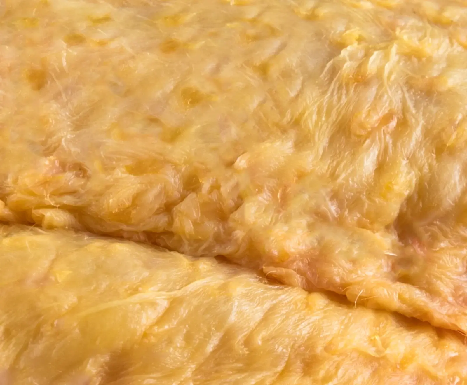 Nahaufnahme von gelblichem, faltigem und faserigem Gewebe, das an Fett- oder Bindegewebe erinnert. Die Oberfläche ist unregelmäßig und leicht glänzend.