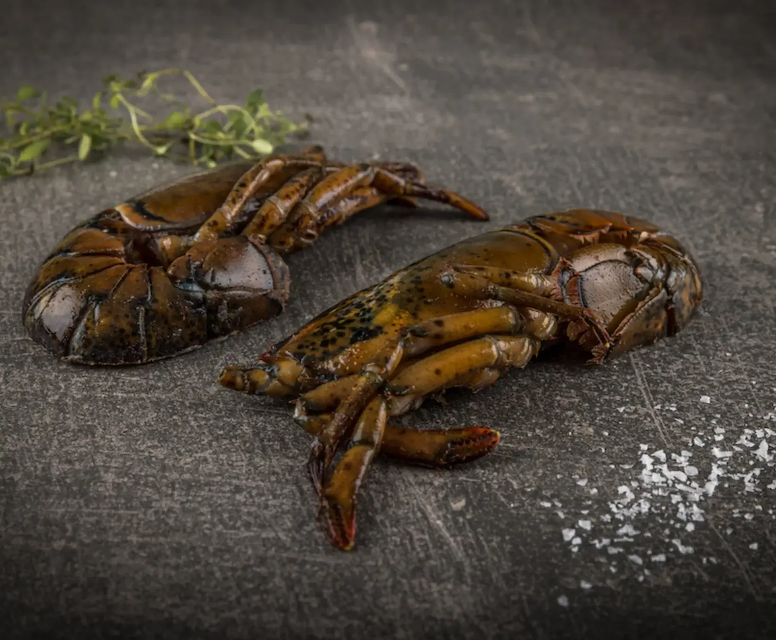 Zwei rohe, dunkelbraune Hummerschwänze liegen auf einer dunklen, strukturierten Oberfläche. Im Hintergrund ist ein Thymianzweig, im Vordergrund grobes Meersalz verstreut.