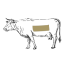 Grafik von einem Rind, wo die Short Ribs eingezeichnet ist.