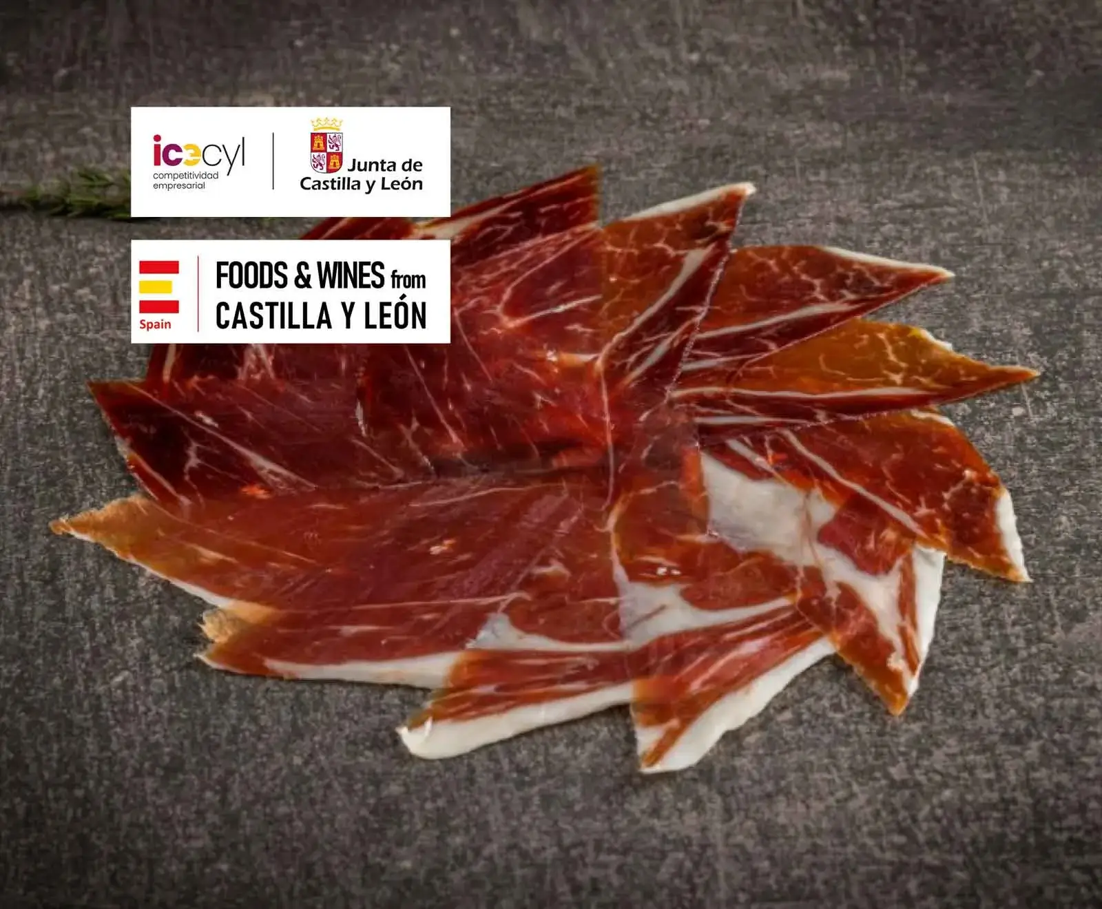 Ein Haufen dünn geschnittener, roter spanischer Schinken (Jamón) mit weißer Fettmarmorierung auf dunklem Hintergrund. Oben links sind Logos von Castilla y León und "Foods & Wines from Castilla y León" abgebildet.