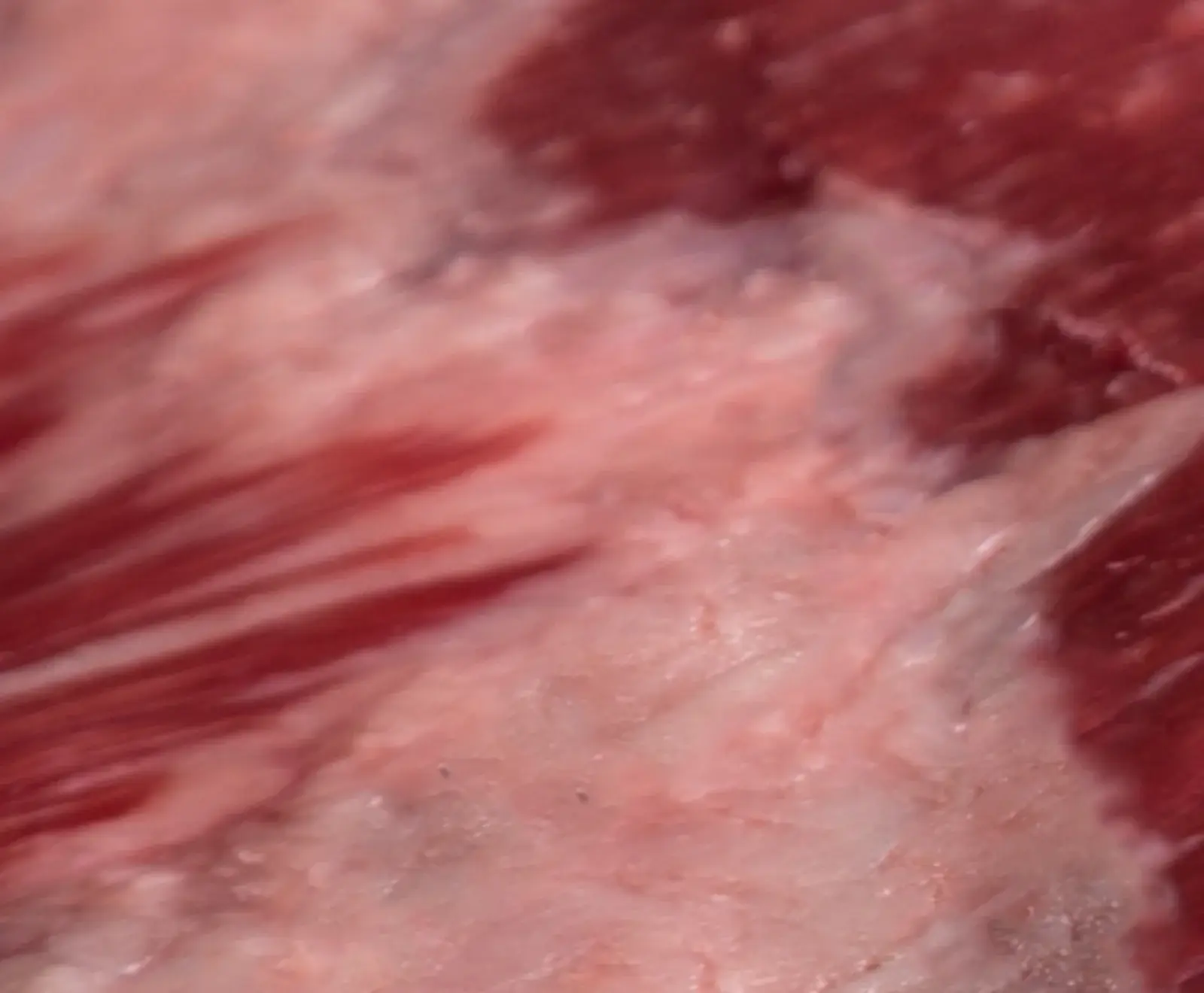 Flank Steak US Black Angus 900 g frisch | Don Carne