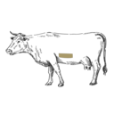 Grafik von einem Rind, wo das Flap Meat eingezeichnet ist.