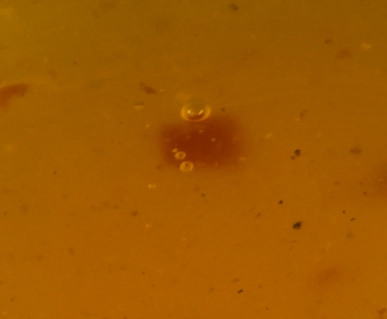 Don Carne Mango Chili Sauce